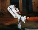 Taekwondo calci in volo