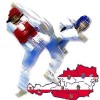 Austrian taekwondo open