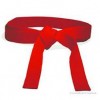 Locandina Campionati Italiani Cinture Rosse a Leccce