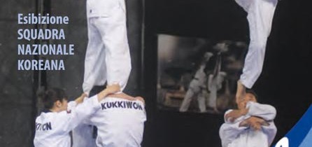 Dimostrazione di Taekwondo della squadra nazionale del Kukkiwon dalla Corea