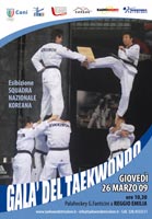 Dimostrazione di Taekwondo