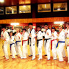 Squadra Dimostrazione Taekwondo a Carpi 1