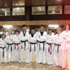 Squadra Dimostrazione Taekwondo a Carpi 2
