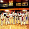 Squadra Dimostrazione Taekwondo a Carpi 3